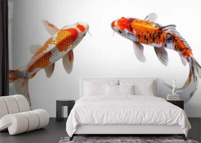 Set of koi fish isolated on transparent background Wall mural