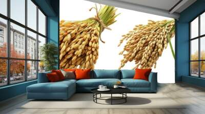 Set of paddy rice isolated on transparent background Wall mural