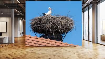 White storks (Ciconia ciconia) in a nest built on a roof under a blue sky Wall mural