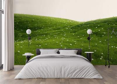 grass field with white flowers Wall mural