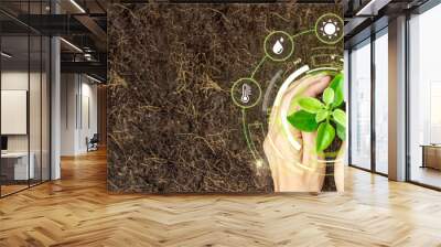 Two hands holding young plant with cyber display of technological smart farming 4.0-Smart Farming and Agriculture Innovation Concept. Wall mural