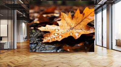 autumn leaves on the ground Wall mural