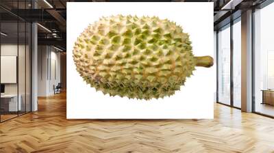 close-up durian isolated on white background Wall mural