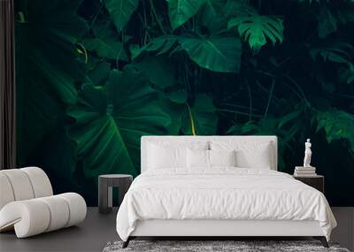 Nature leaves green background in garden at spring. dark tropical foliage natural background. Wall mural