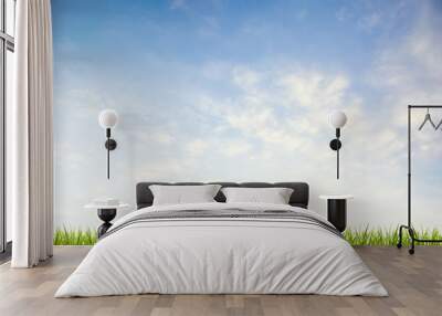 Grass grass under blue sky and clouds Wall mural