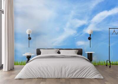 Grass grass under blue sky and clouds Wall mural