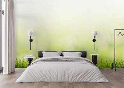 grass with green blurred background and wood floor Wall mural