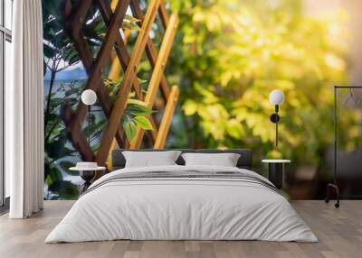 Wooden fence and green tree with light on top. Summer garden background. nature and environment concept Wall mural