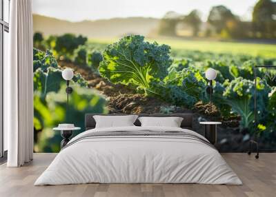 Fresh kale in a field Wall mural