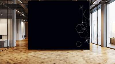 Vectors Digital technology and science background, Abstract futuristic hexagon shape pattern connection technology background. Wall mural