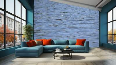 lake water with reflections in the sun Wall mural