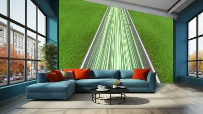 Green speed light trail on road with leaves, renewable energy highway transportation concept, clean eco power car street light with blue sky, zero emission electric vehicle technology 3d rendering Wall mural