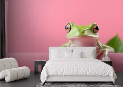 A green frog sitting serenely on a pastel pink background. Wall mural