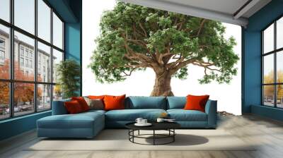 Large Oak Tree with Expansive Roots on Transparent Background Wall mural