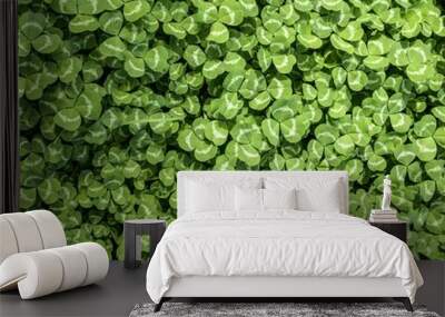 background of green leaves Wall mural