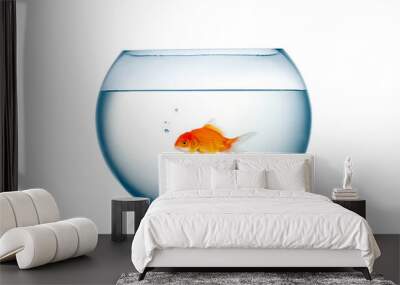 Goldfish with bubbles in aquarium isolated on white background. Wall mural