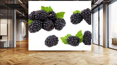 set of blackberries with leaves isolated on white background. Wall mural