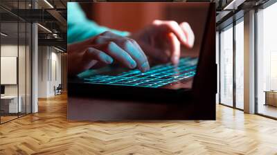 The girl works on the laptop at night, hands closeup. Wall mural