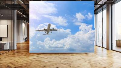 High-altitude airplane and beautiful sky in spring Wall mural