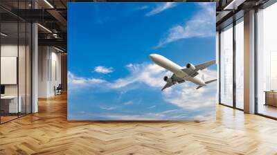 High-altitude airplane and beautiful sky in spring Wall mural