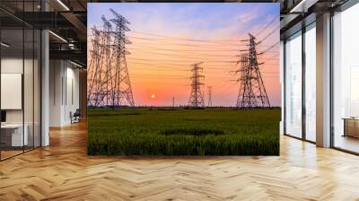 High voltage power tower and beautiful nature landscape at sunset Wall mural