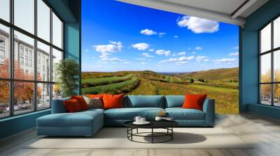 The beautiful scenery of the grassland Wall mural