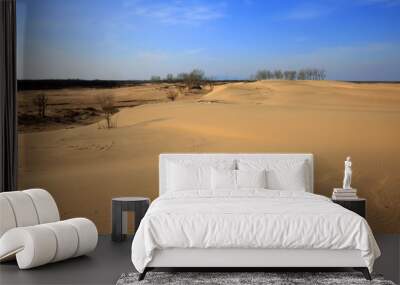 The desert under the blue sky Wall mural