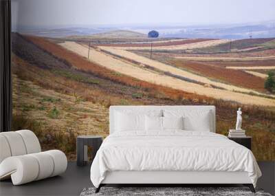 The terraced fields in autumn Wall mural