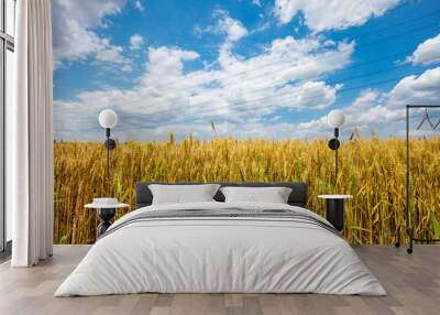 The wheat fields Wall mural