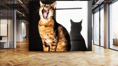 Cat yawning. Funny bengal ginger cat with open mouth. Wall mural