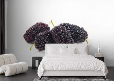 mulberries fruit isolated on white background,healthy mulberry fruit  Wall mural