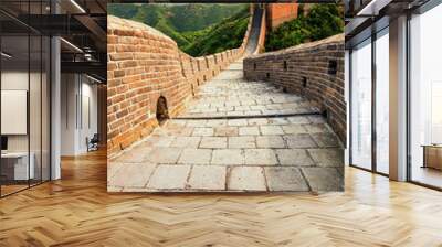 great wall Wall mural