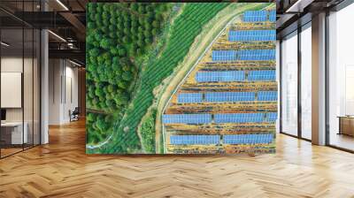 Solar farm, solar panels aerial view Wall mural