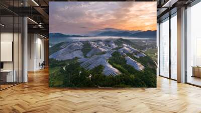 view of solar power station on hill Wall mural