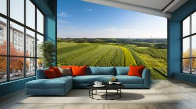 view of wind power turbine in field  Wall mural