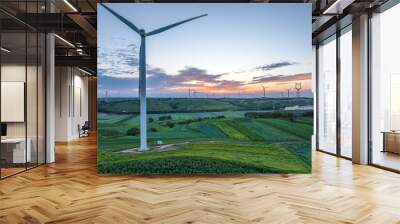 view of wind power turbine in field at sunset Wall mural