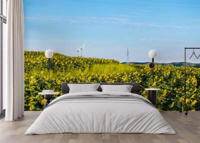 view of wind power turbine in field Wall mural