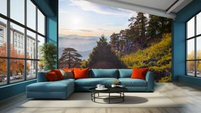 Beautiful forest and mountains at sunset, picturesque nature, travel to Turkey Wall mural