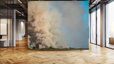 Large clouds of smoke, fire in nature. Wall mural