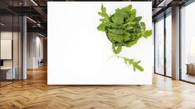 Raw lettuce arugula on a white table Wall mural