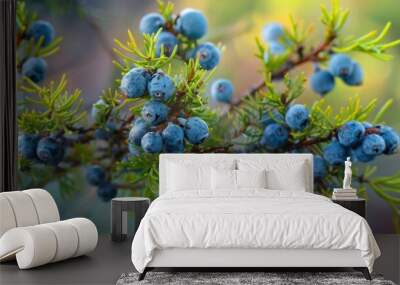 Bunch of juniper berries on a green branch in autumn Wall mural