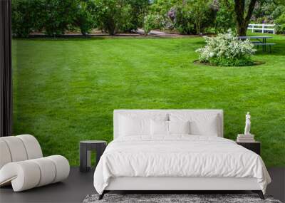 Green grass lawn and garden Wall mural