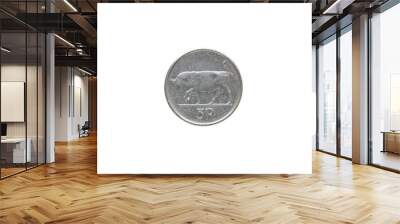 An Irish coin of five pence from 1993 isolated on black background. Wall mural