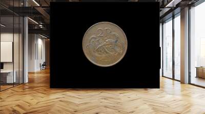 An Irish coin of two pence from 1988 isolated on black background. Wall mural