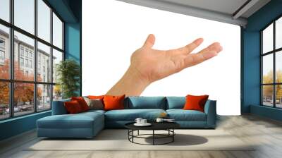 People hand with open palm up or receive gesture isolated on white background. Holding or offering concept. Image with Clipping path Wall mural