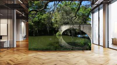 A bridge in Audubon Park New Orleans Wall mural