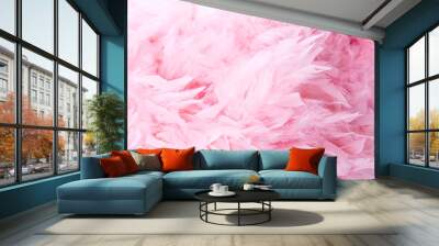 Pink soft feathers background Wall mural