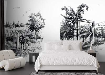 Black and white vintage clipart of a vineyard with a gate. Wall mural