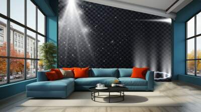 Set of Transparent Lens Flares and Lighting Effects. White spotlights.  Light Effects. Realistic falling snowflakes. Vector illustration Wall mural