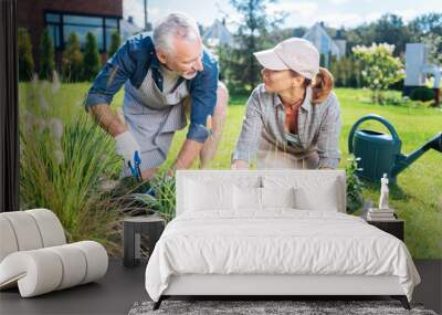 Helping in garden. Mature handsome man wearing white gloves helping his beautiful young wife in the garden Wall mural